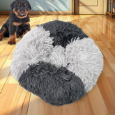 Dog Bed, Cat Bed Self-Warming Dog Beds (1 Pc)