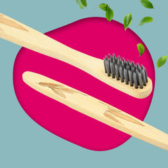 Bamboo Wooden Toothbrush (15 pcs set / With Round Box)