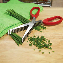 Multifunction Vegetable Stainless Steel Herbs Scissor with 5 Blades (1 Pc / Big)