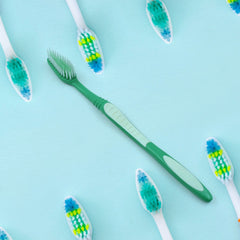 13080 Plastic Toothbrush With Plastic Round Box for Men and Women, Kids, Adults Plastic Toothbrush (10 pcs Set)