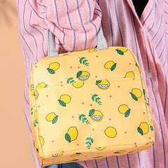 Insulated Travel Lunch / Tiffin / Storage Bag (1 Pc)