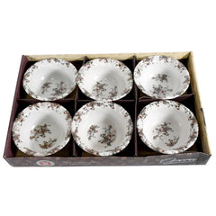 8225 Opera High Quality Plastic Ice-Cream Bowl, Home & Kitchen Serving Platter or Dessert Cup for Sundae, Sweets, Snacks, Fruit, Pudding, Nuts or Dip, Serving Bowls (Set of 6 pc)