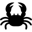 Alt Image