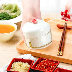 5755 Multi-Function Manual Food Chopper, Garlic Grinder Vegetable Chopper, Portable Mini Household Garlic Slicer, Ginger Slicer, Garlic Cutter Chopper, Vegetable Slicer, Kitchen Gadget, 2 Blade (1 Pc )