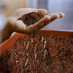 Cocopeat Block Organic Fertilizer and Soil Manure Potting Mixture for Home Gardening and Potted Plants (1 KG.)