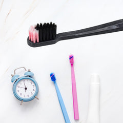 Plastic Toothbrush With Plastic Round Box (15 Pcs Set)
