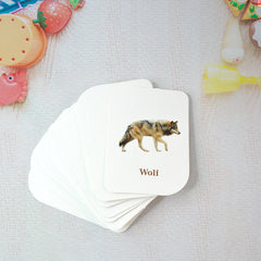 Kidkraft 32-Piece Animal Flash Cards Set