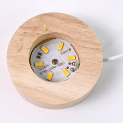 Fish 3D Crystal Ball lamps With Base (1 Pc)