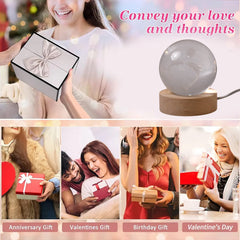 Fish 3D Crystal Ball lamps With Base (1 Pc)