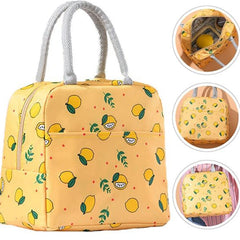 Insulated Travel Lunch / Tiffin / Storage Bag (1 Pc)