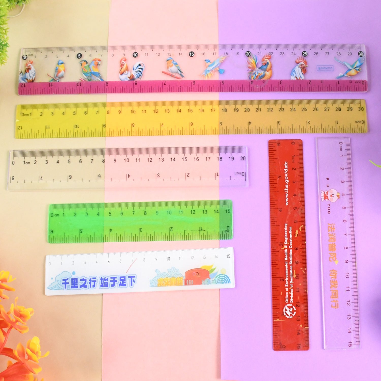 Premium Quality Assorted Plastic Ruler (1 Pc & Mix Design)