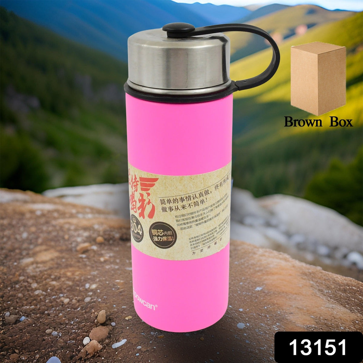 Stainless Steel Water Bottle With Handle (530 ML / 1 Pc / Mix Color)