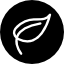 Alt Image
