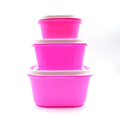 2029 3 Pc Multi-Purpose Container used in all kinds of household and official purposes for storing food and stuffs etc. DeoDap