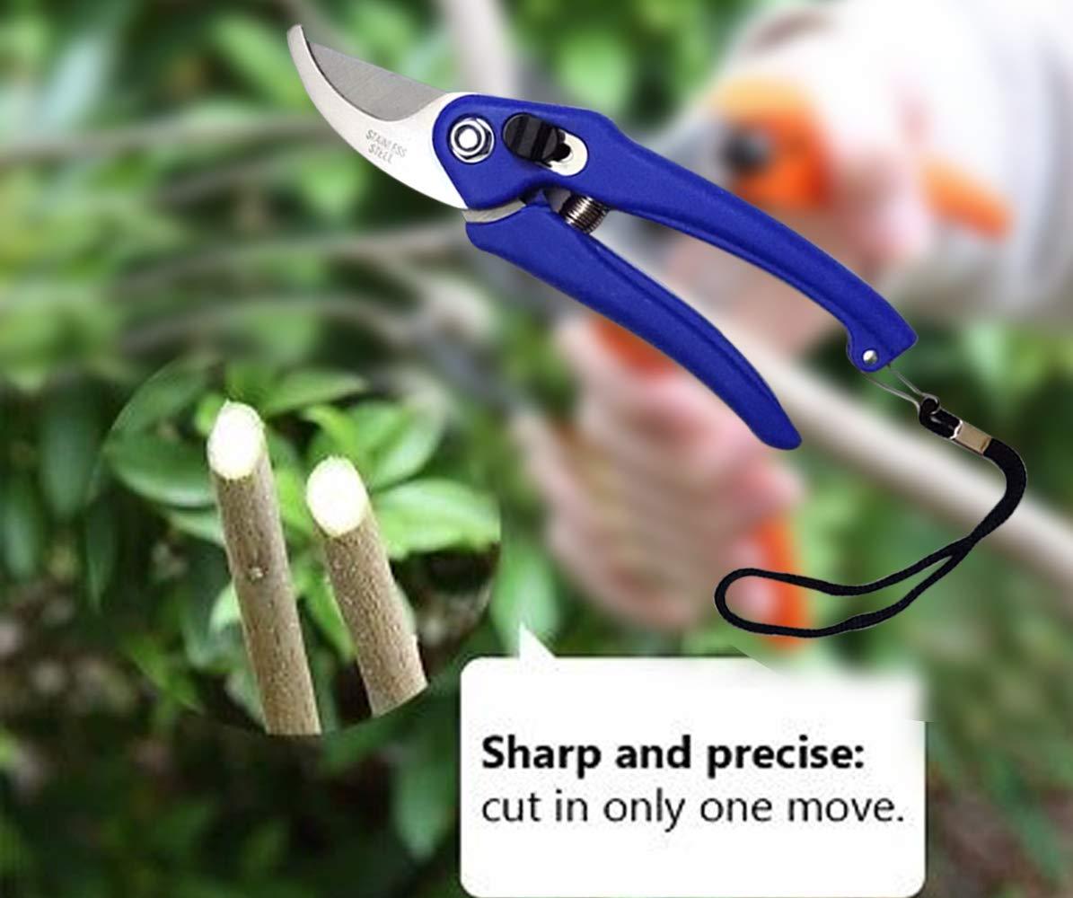 0465 Stainless Steel Garden Scissors DeoDap